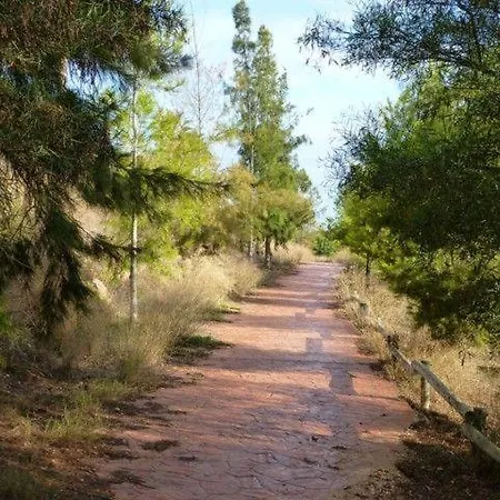 Casa-angela Orihuela